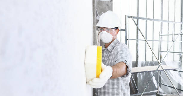 Best Mold Damage Restoration  in Roland, IA